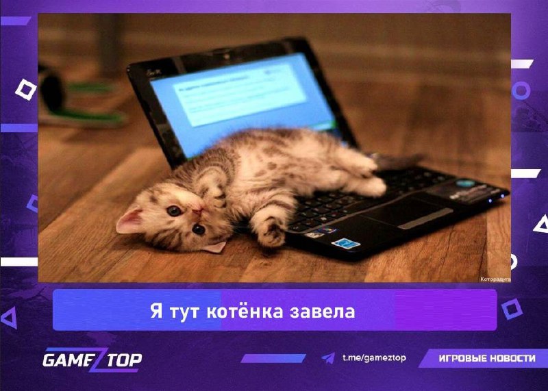 Завести котенка. Котик тут. Ты тут котик. Что нибудь компьютерное.