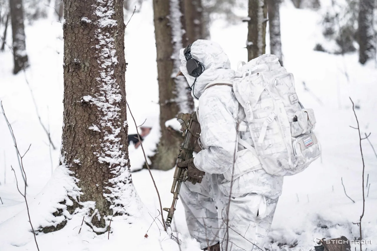 Маскхалат зимний. Зимний маскхалат Multicam Alpine. Маскхалат Stich Profi. Зимние маскхалаты. Sturmer (Multicam Alpine). Зимний маскхалат Стич профи.