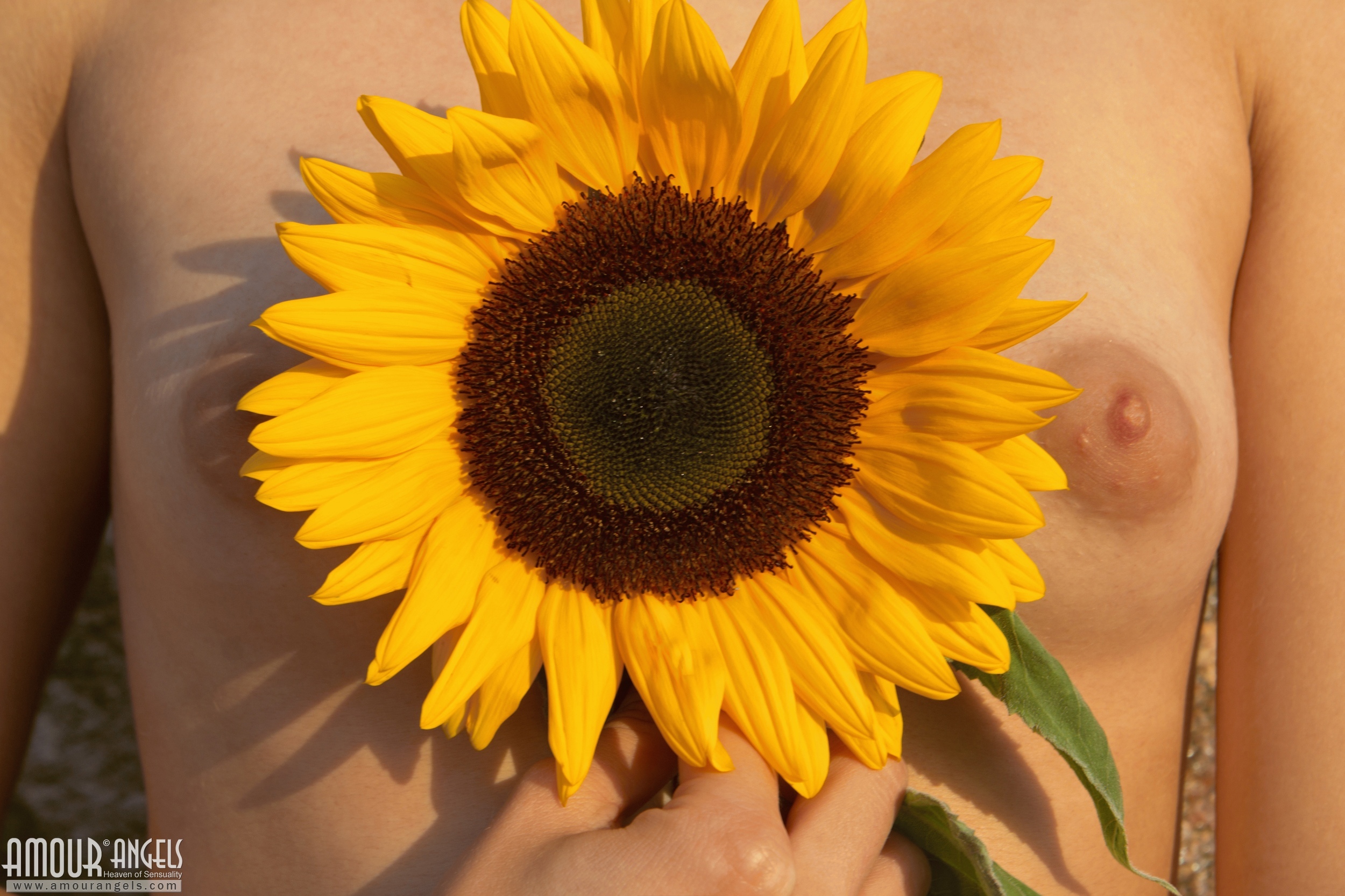 [Image: a00fed3a7f84245f31fe8.jpg]