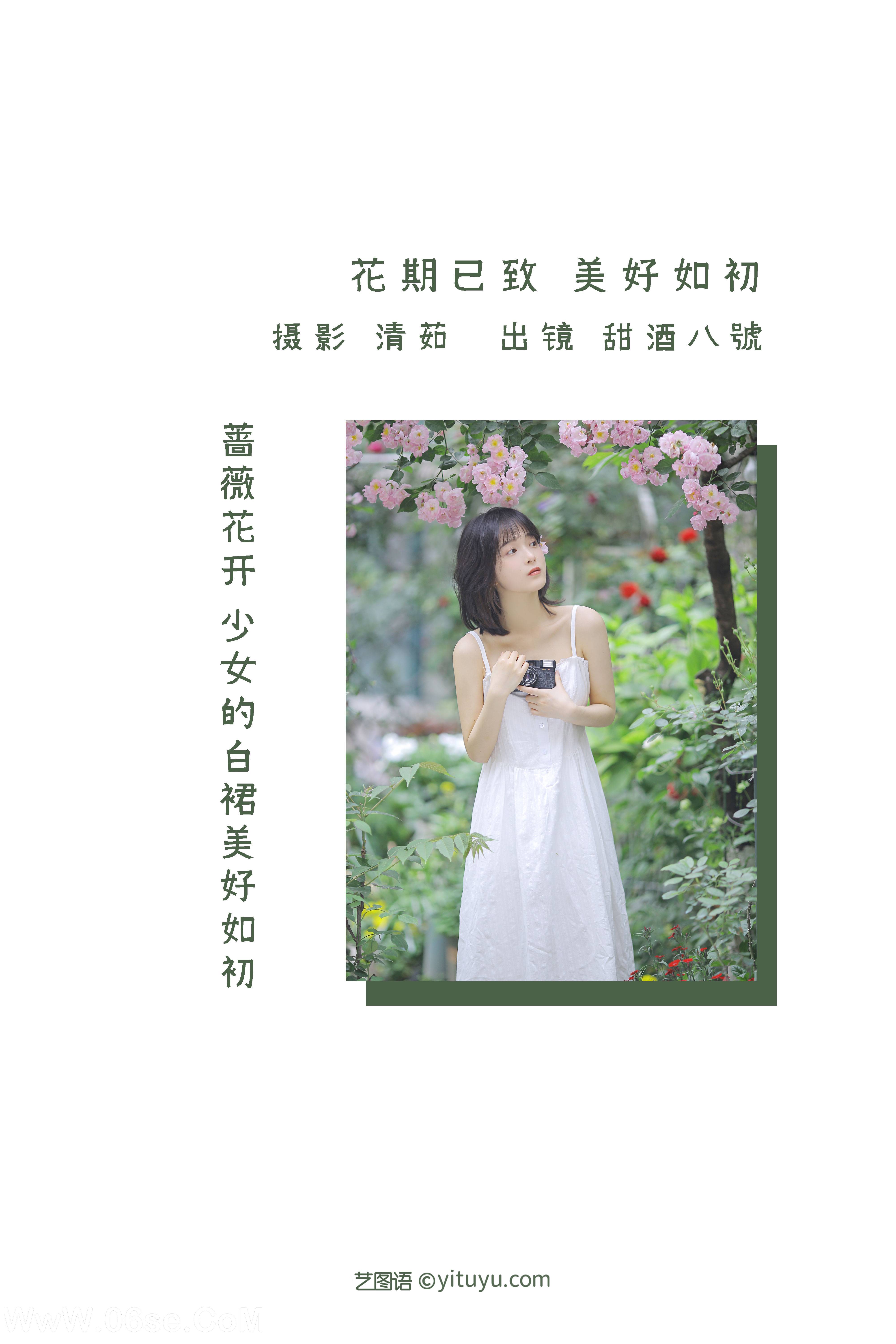 图片[2]-[YITUYU艺图语]2022.08.17 花期已致 美好如初 甜酒八號[29+1P／237MB]-六色网