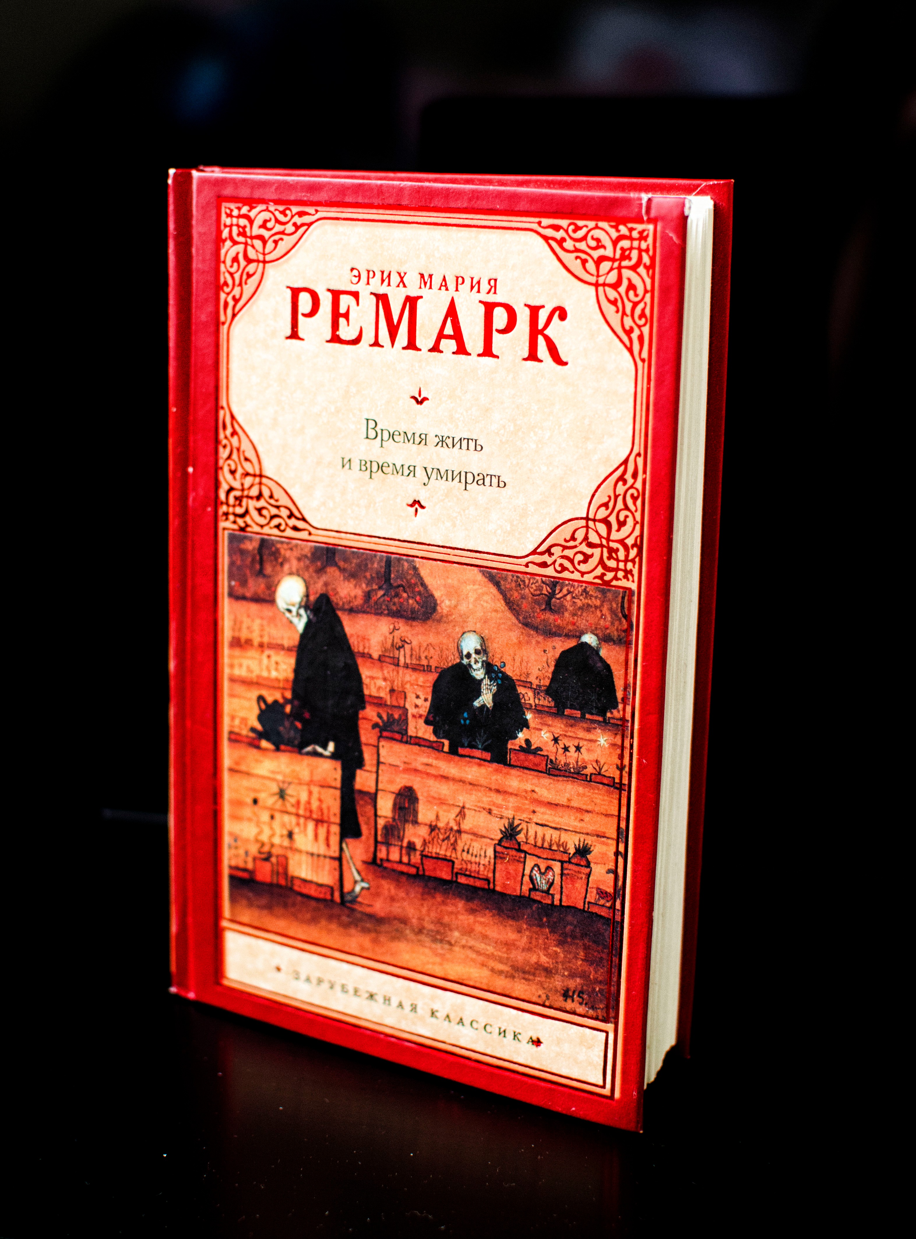 Ремарк книги время жить и время умирать