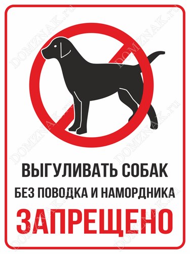 Выгуливать собак без намордника и поводка запретят в Хабаровске