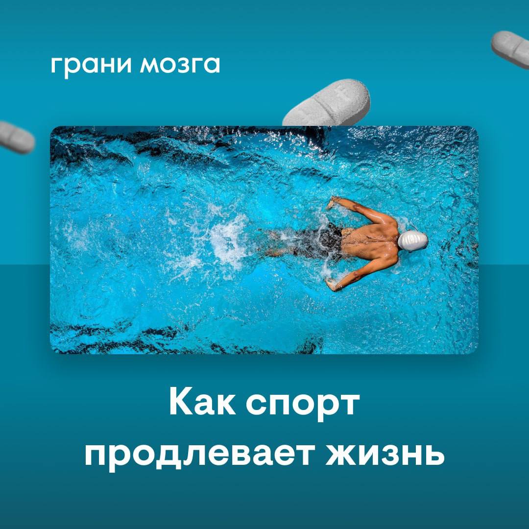 Спорт продлевает жизнь