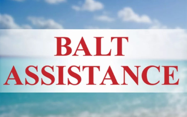 Балт Ассистанс страховая компания. Balt assistance Ltd логотип. Ассистанс в страховании это.