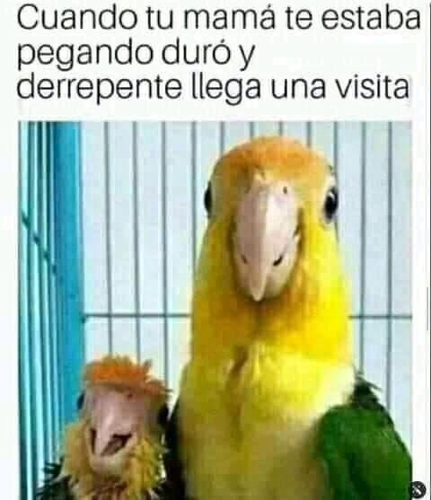 Cuando tu mamá te está pegando y llega visita