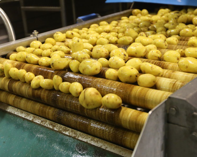 Агрофирма «КРиММ» запустила в Тюменской области завод по переработке картофеля