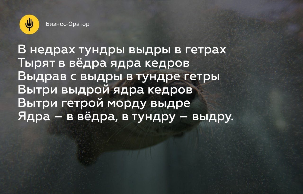 Выдры в гетрах. Выдры в гетрах тырят в вёдра. В недрах тундры выдры в гетрах. Скороговорка в недрах тундры выдры в гетрах тырят в вёдра. В недрах тундры.