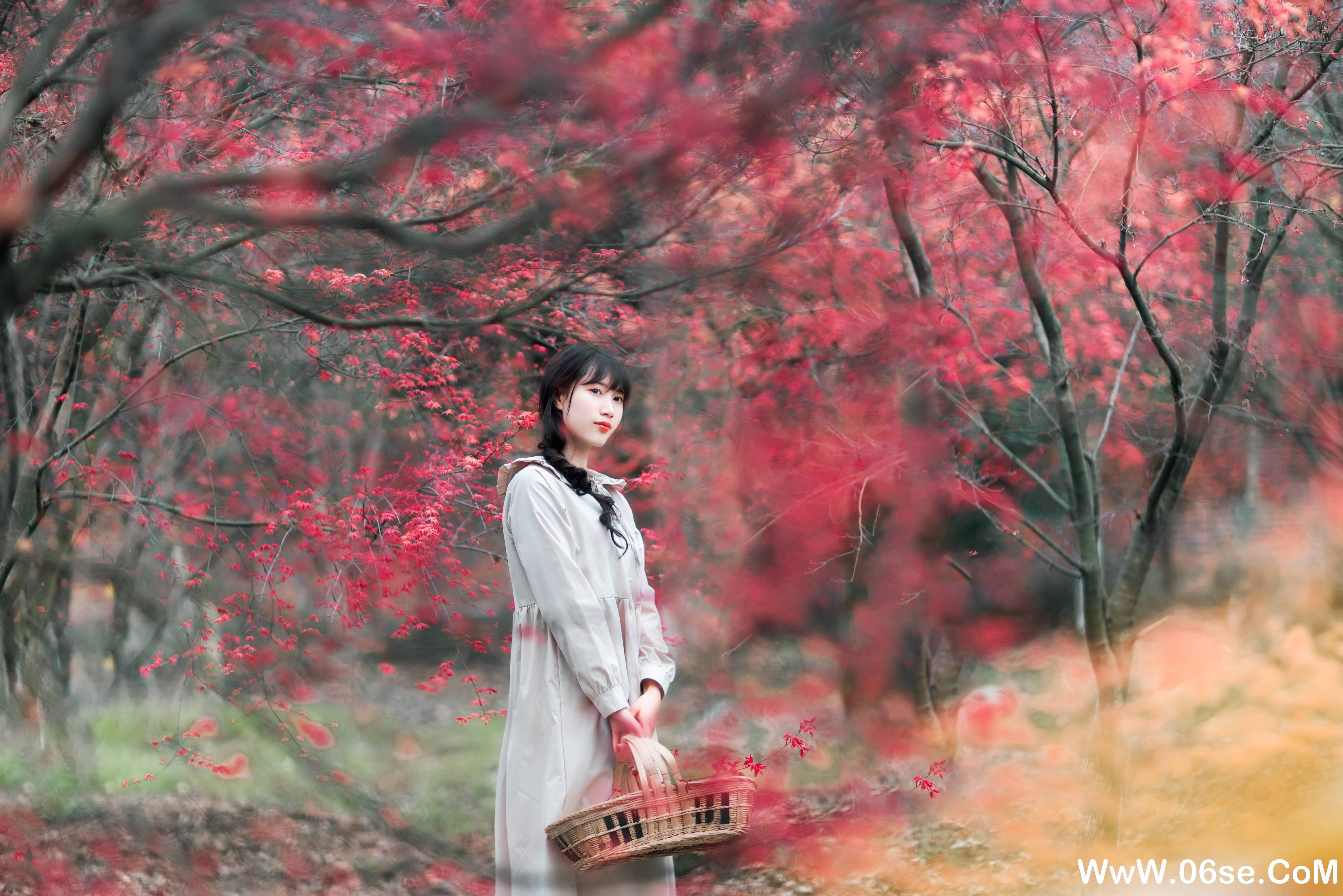 图片[11]-[YITUYU艺图语]2021.12.23 枫林春晓 初茶[38+1P／745MB]-六色网
