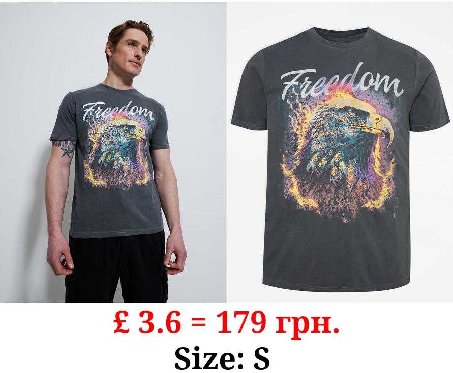 Grey Faded Eagle Freedom Slogan T-Shirt