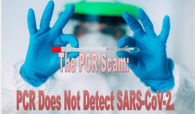 Η Απάτη της PCR : Η PCR Δεν ανιχνεύει τον ιό SARS-CoV-2