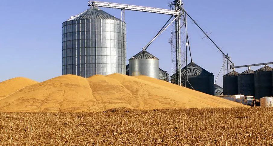 20-миллиардный проект по глубокой переработке пшеницы в Пензенской области ищет китайских инвесторов
