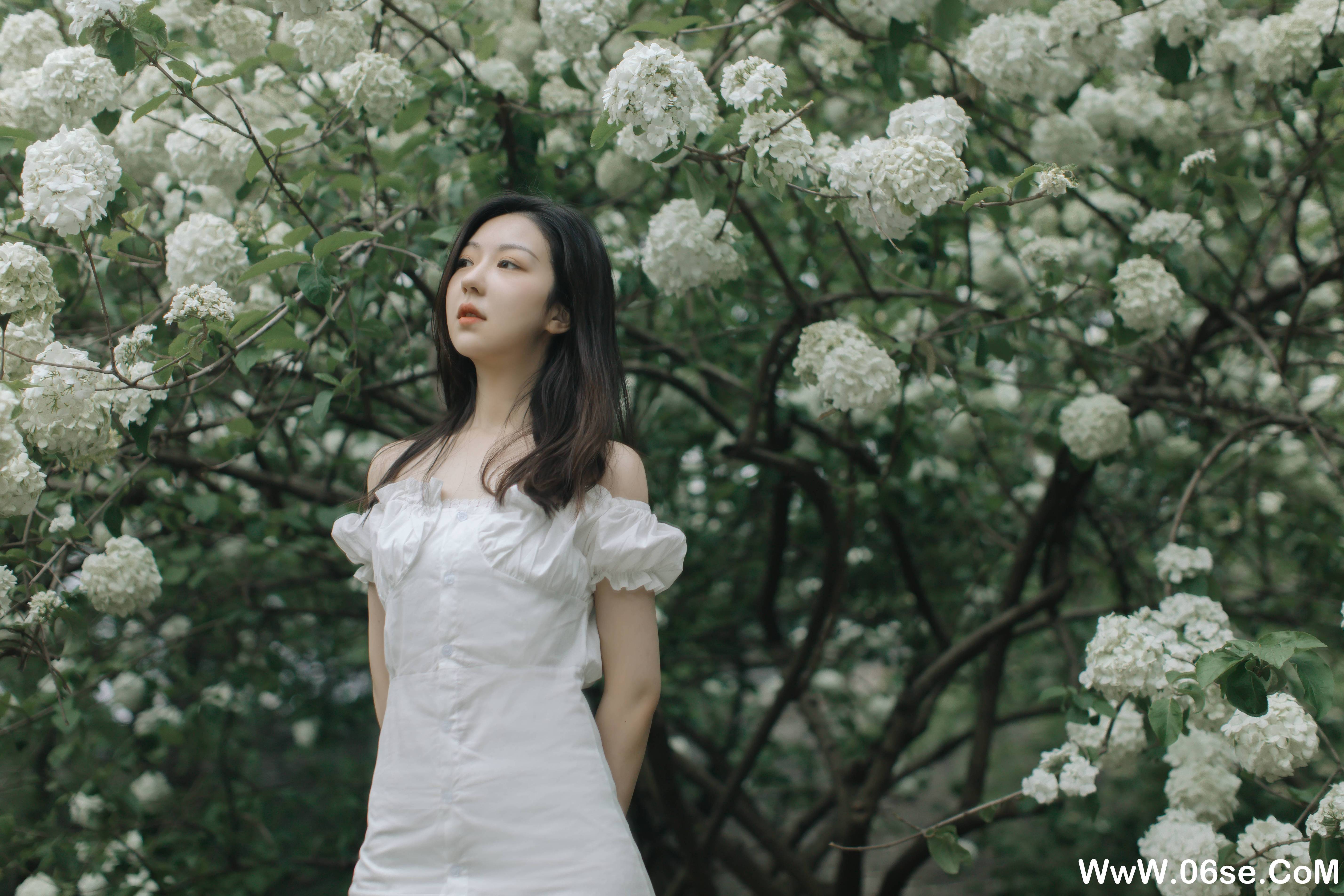 图片[15]-[YITUYU艺图语]2021.12.31 绣球花开 小tom[21+1P／271MB]-六色网