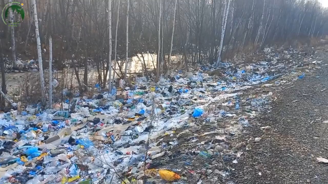 Экологическое бедствие Нанайский район Хабаровского края