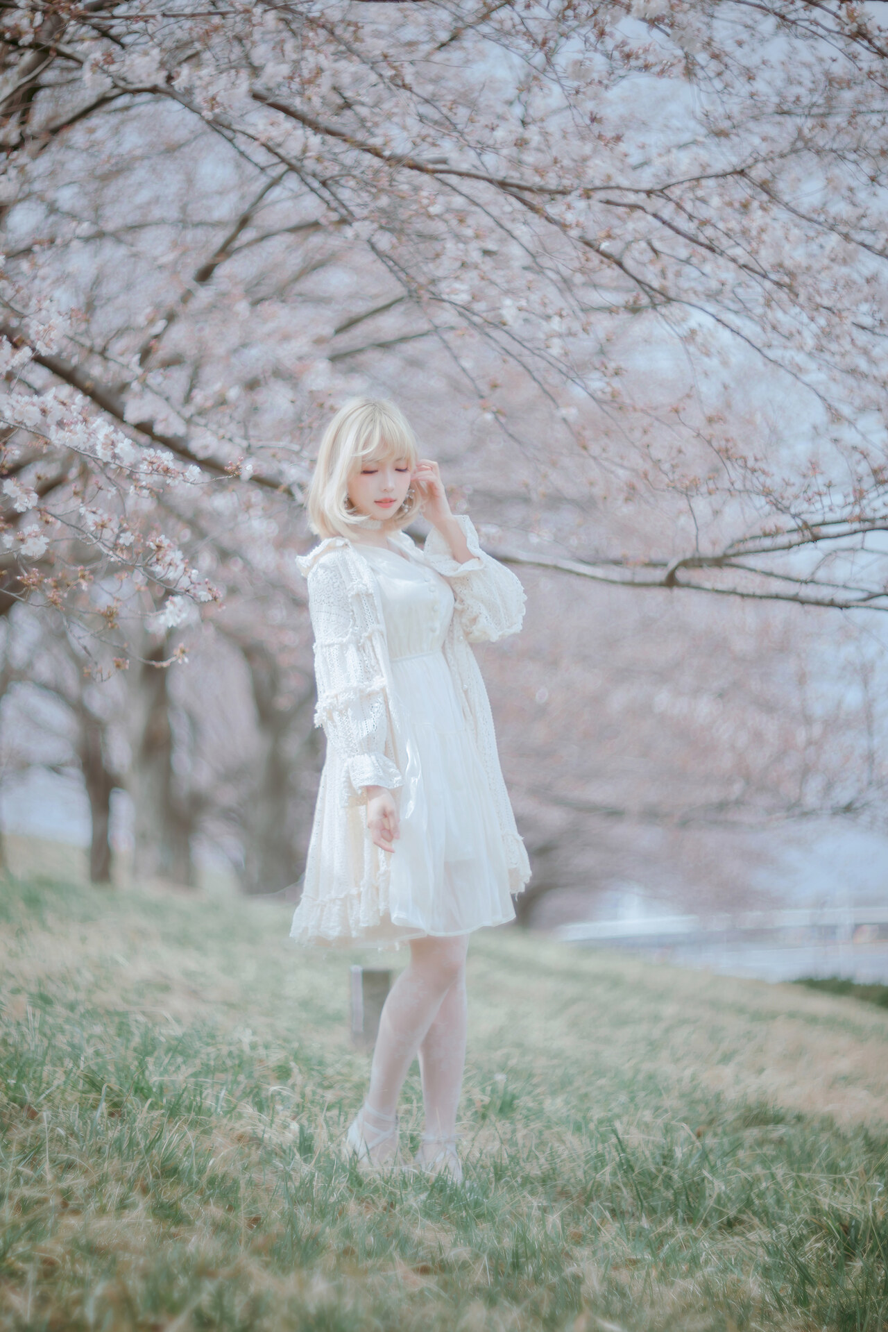 [Ely] Sakura桜 2021 Nekomimi Ver. 23