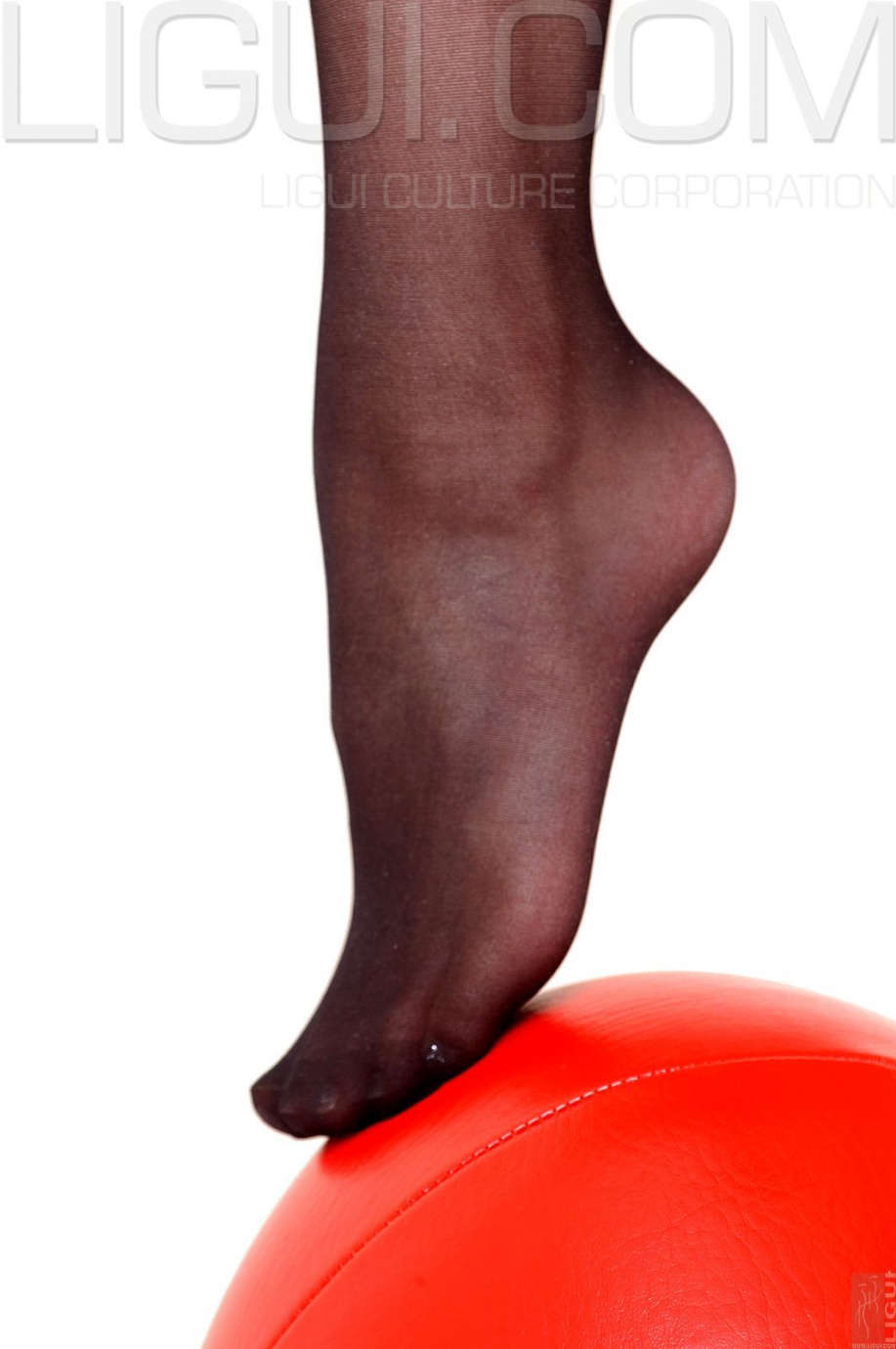 [Image: a34db45207599e972619d.jpg]