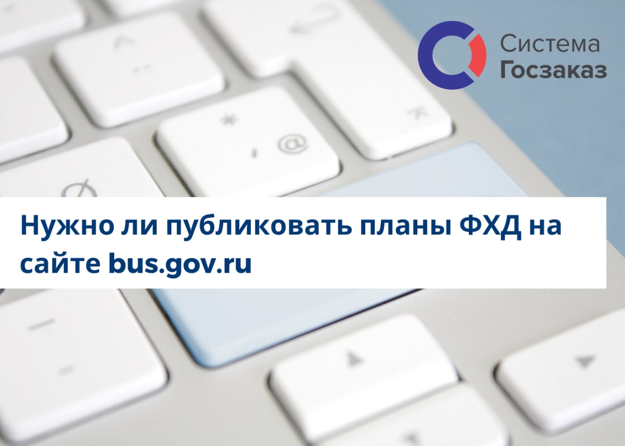 Информация о плане финансово хозяйственной деятельности на bus gov