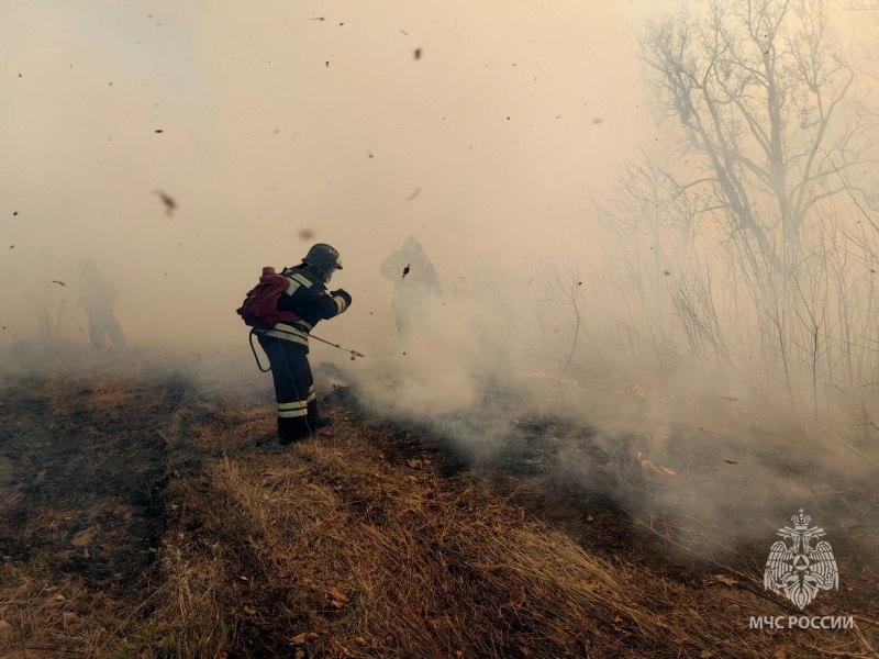 Пожары на Дачных островах Хабаровска