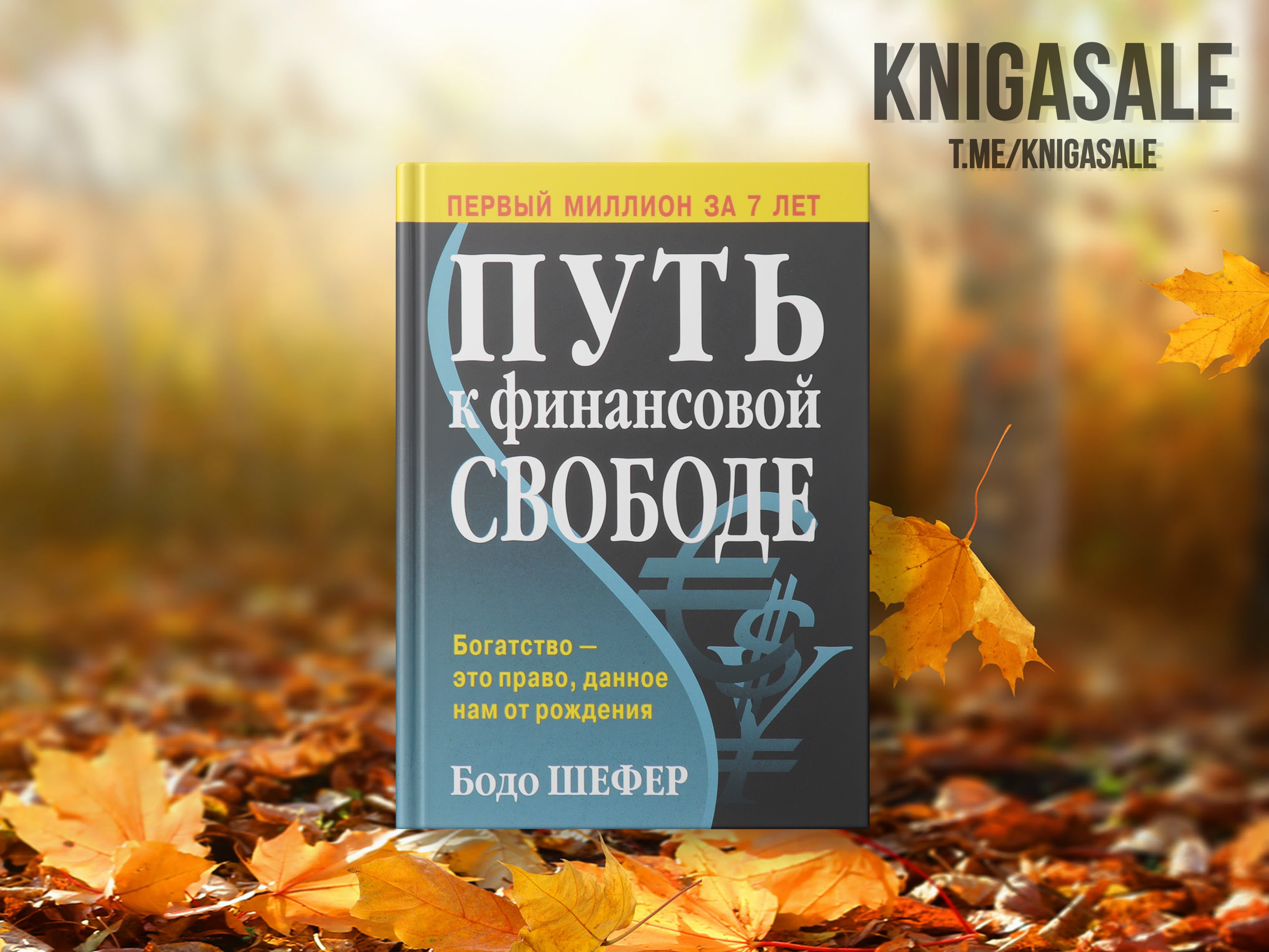 Путь к свободе аудиокниги. Бодо Шефер путь к финансовой свободе. Путь к финансовой свободе. Бодо Шефера — «путь к финансовой свободе». Твой путь к финансовой свободе.