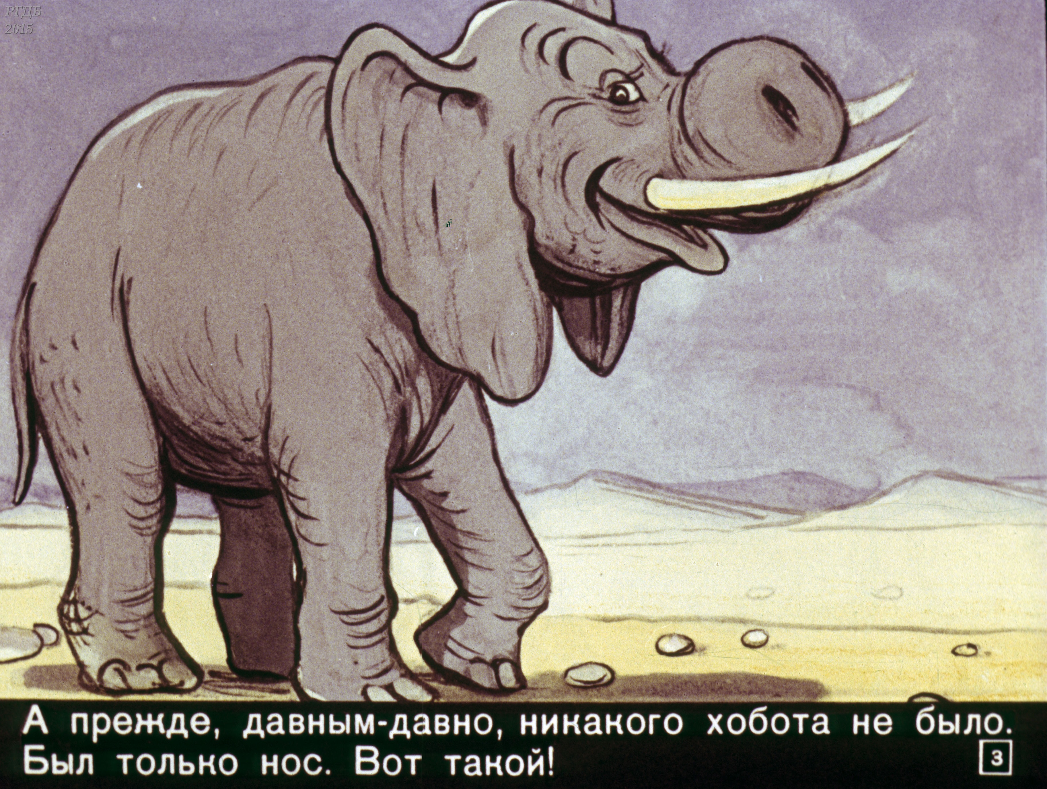 Почему у слона длинный
