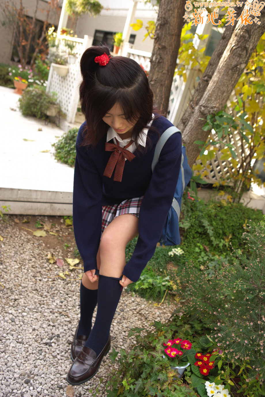 [Image: a4c028a45548d4795a7d4.jpg]