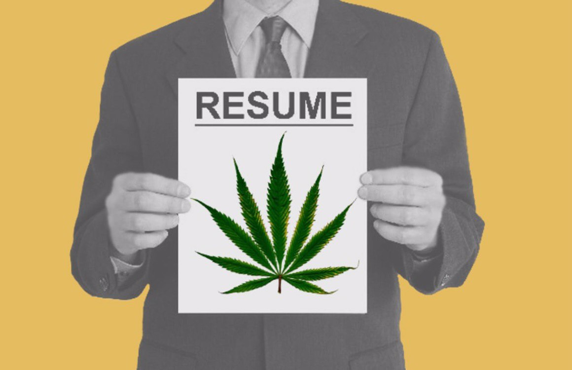 Работа джа. Cannabis industry. How to get a job in the Cannabis industry Canada. Bear Cannabis jobs. Cannabis jobs indeed Canada.