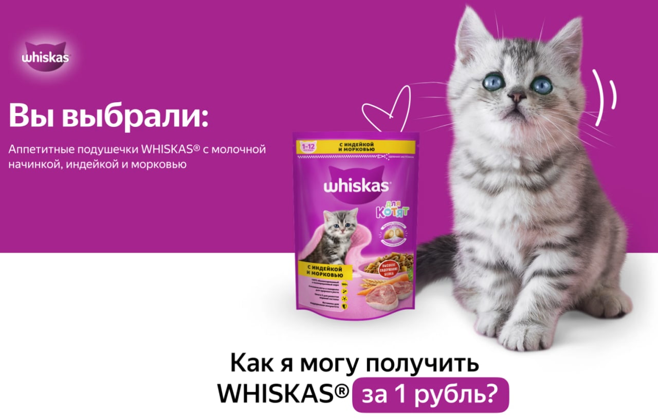 Включи вискас бессмертный. Вискас. Whiskas для котят. Реклама корма для котят вискас. Whiskas 1 +.