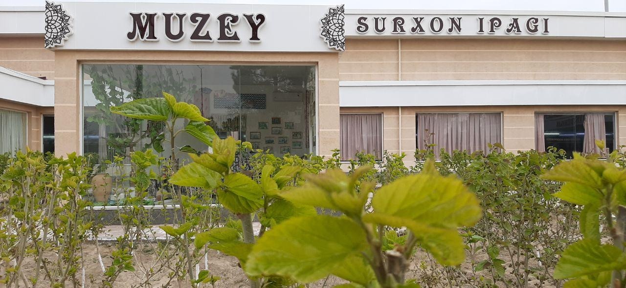 Бор барака. Бор барака. Бор барака. Торфопредприятие туголесский бор. Бор барака.