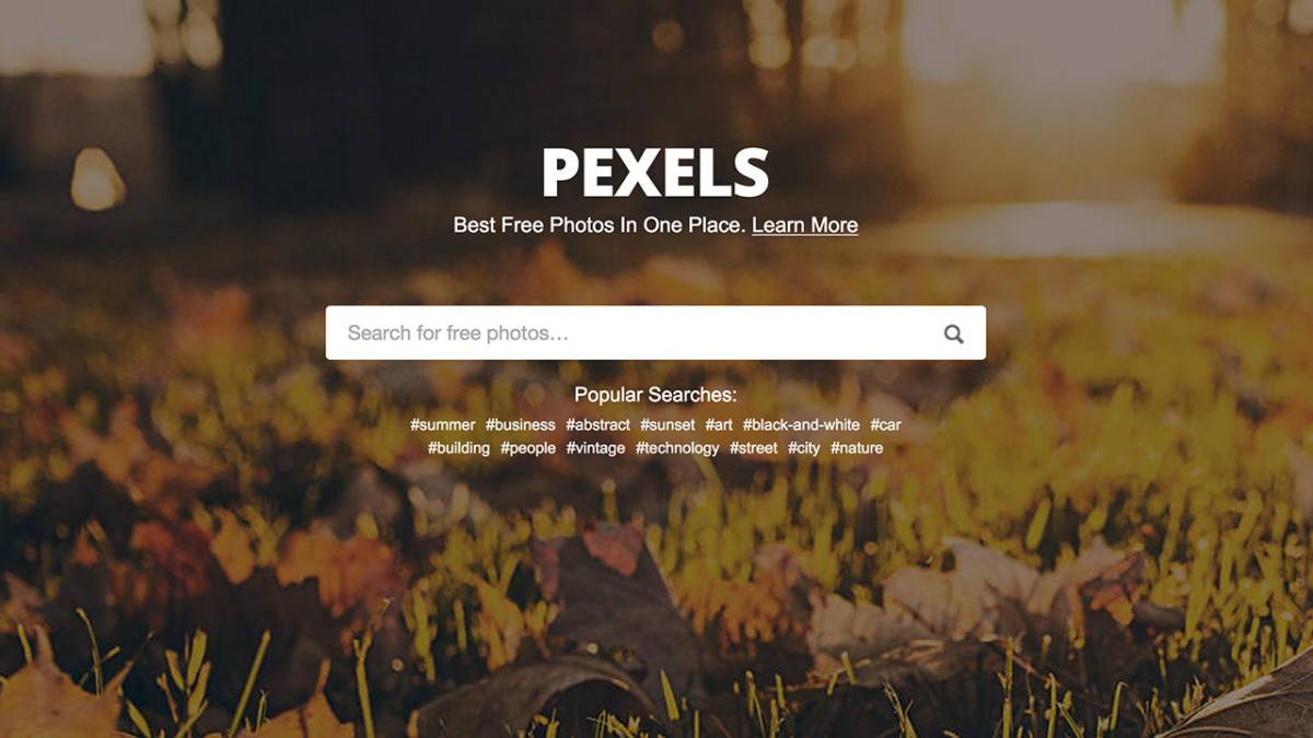 Pexels com. Pexels. Пикселс фотосток. Pexel.com. Pexels.com бесплатно.