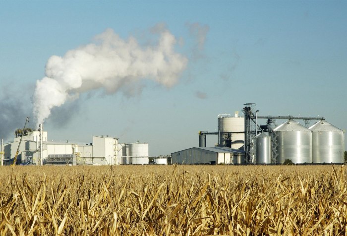 В Саратовской области может появиться завод по глубокой переработке зерна пшеницы