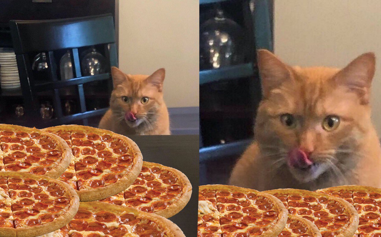 Котик доставляет пиццу