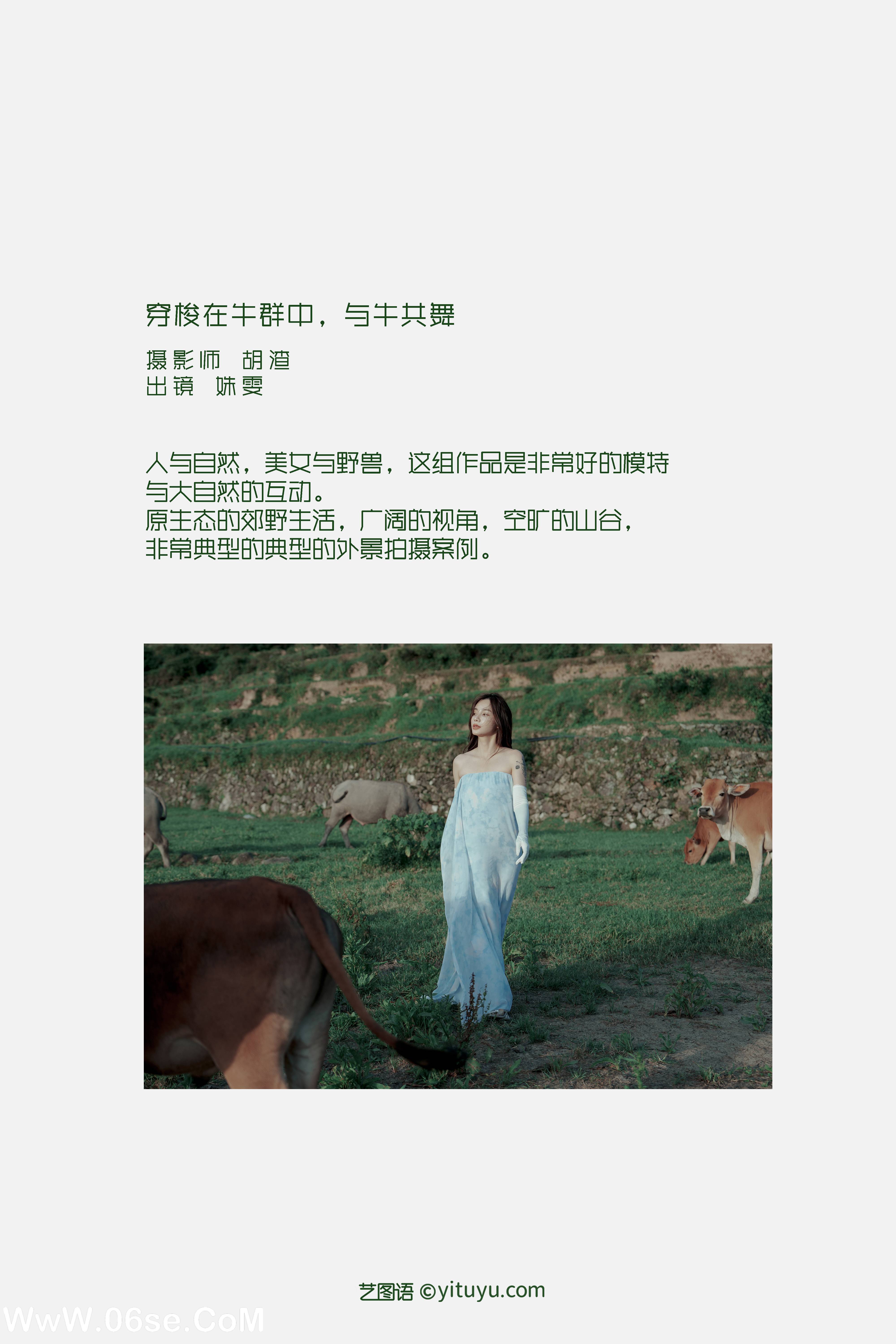 图片[2]-[YITUYU艺图语]2022.09.15 穿梭在牛群中，与牛共舞 姝雯同学[42+1P／325MB]-六色网