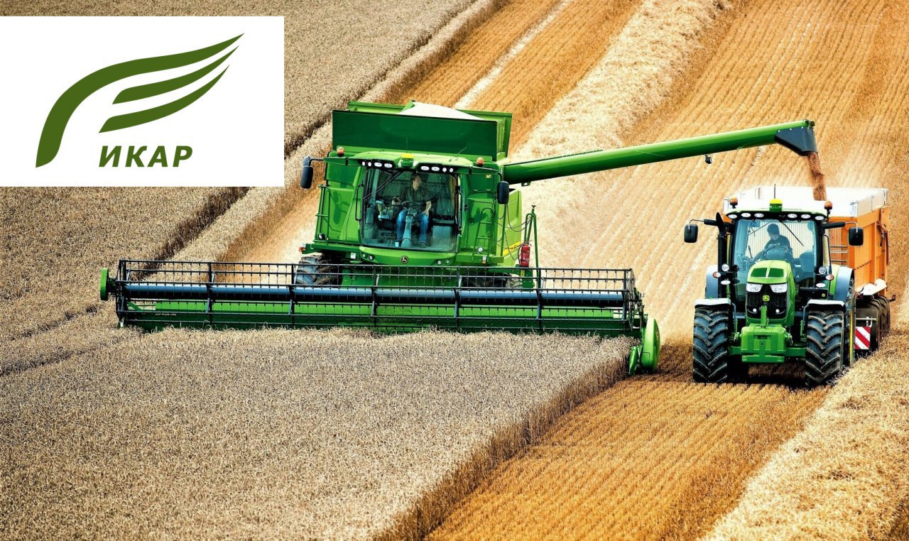 ИКАР повысил прогноз сбора зерна в России в этом году