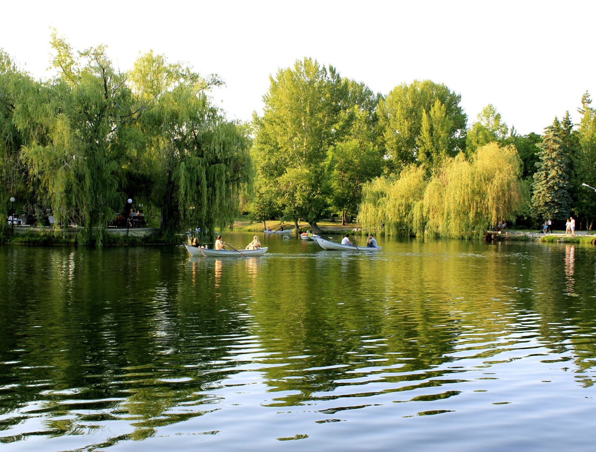 Фото Городского Парка Саратова