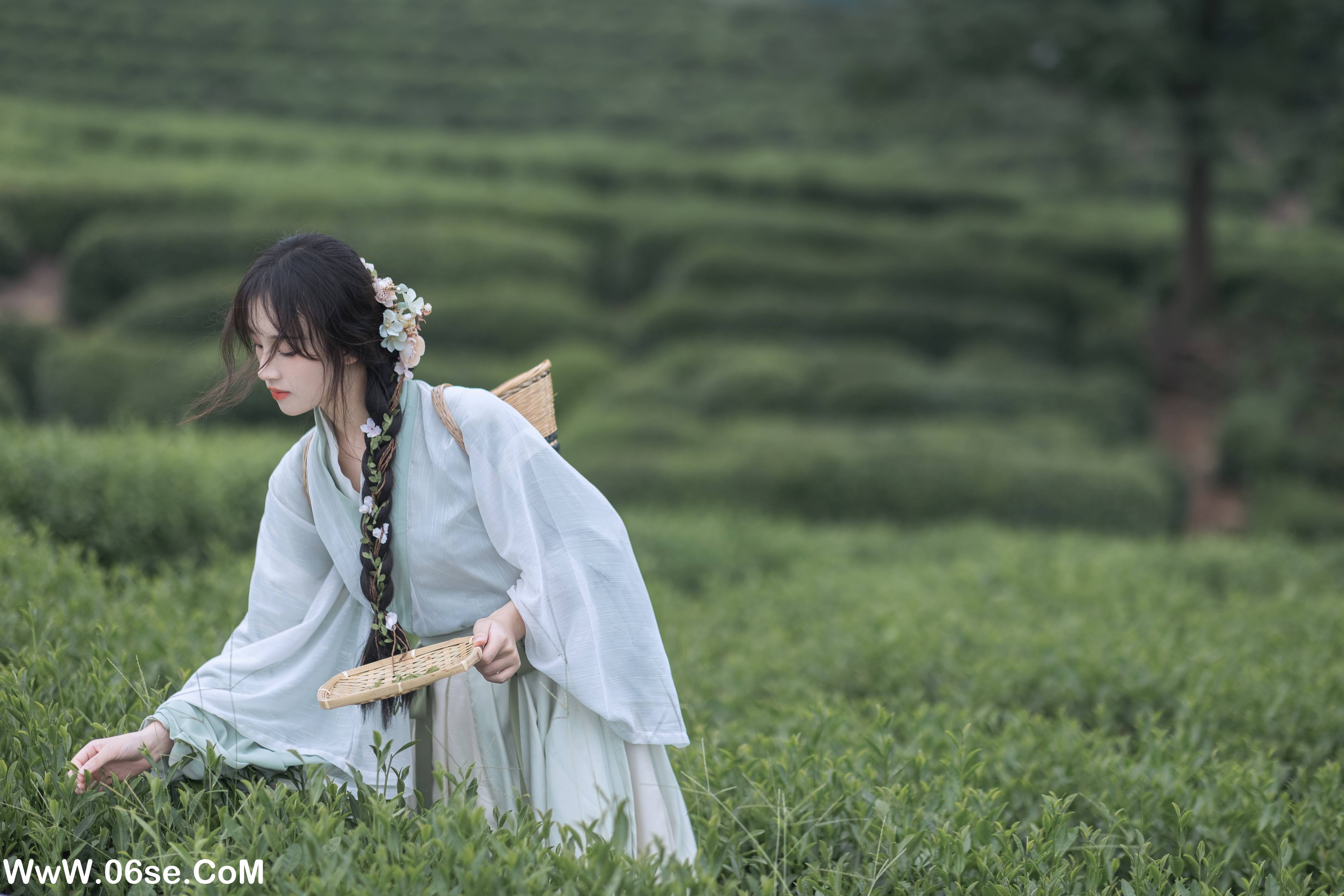 图片[9]-[YITUYU艺图语]2022.11.10 采茶纪 方莛玉[53+1P／473MB]-六色网