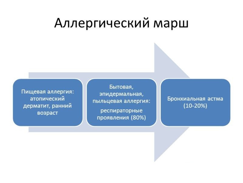 Управление профессионального образования. Принципы профессионального обучения. Основные принципы профессионального образования. Назовите принципы профессионального обучения. Принципы профессионального воспитания.