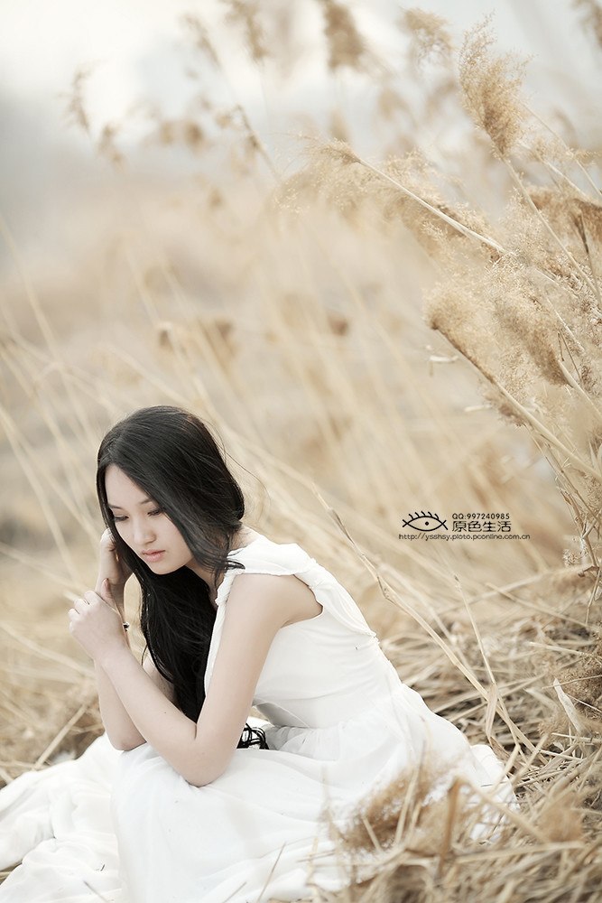 [Image: a71d68744de78ba00d23b.jpg]
