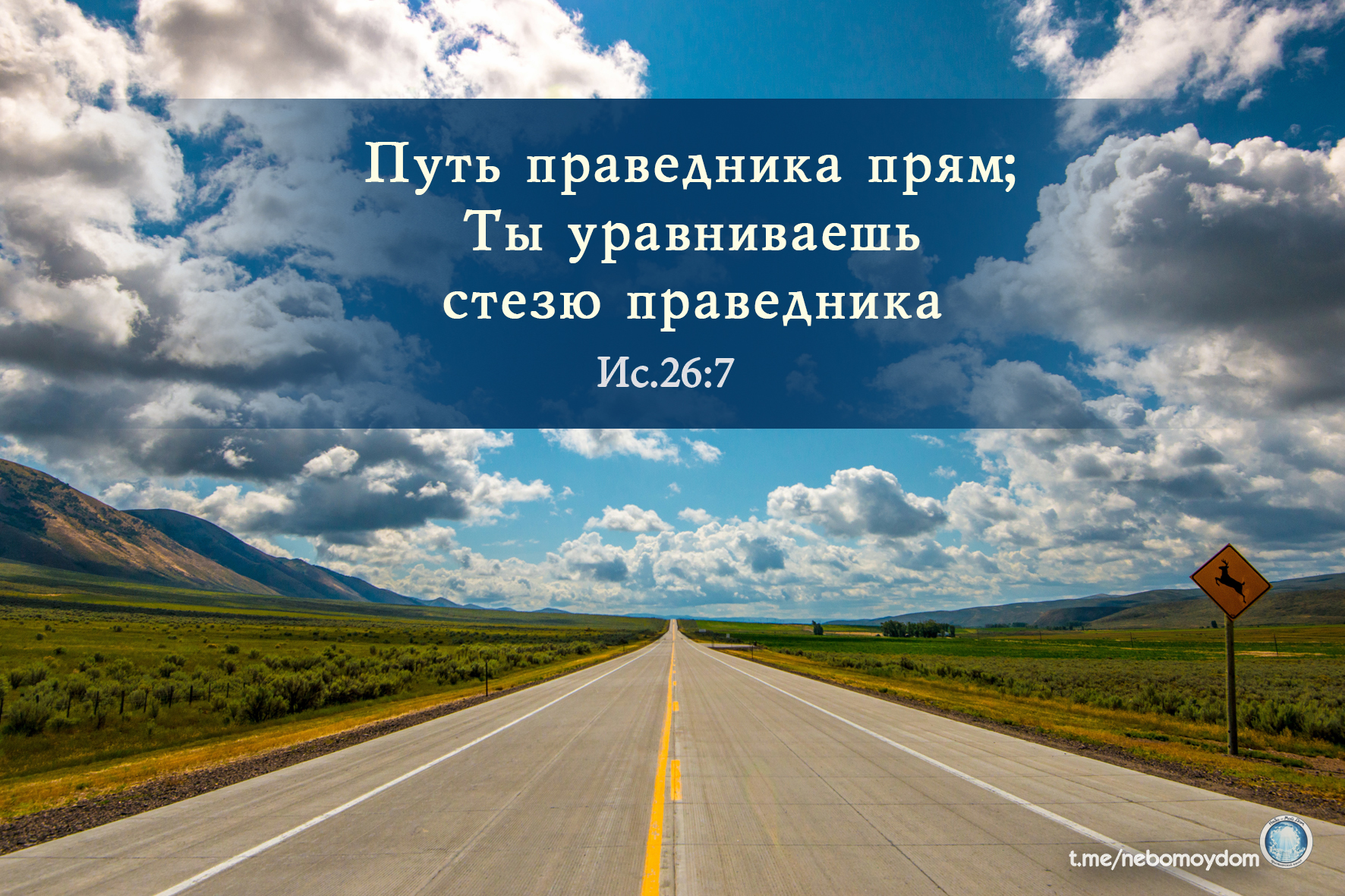 Мой путь. Верная дорога. Дорога мой путь. День моего пути.