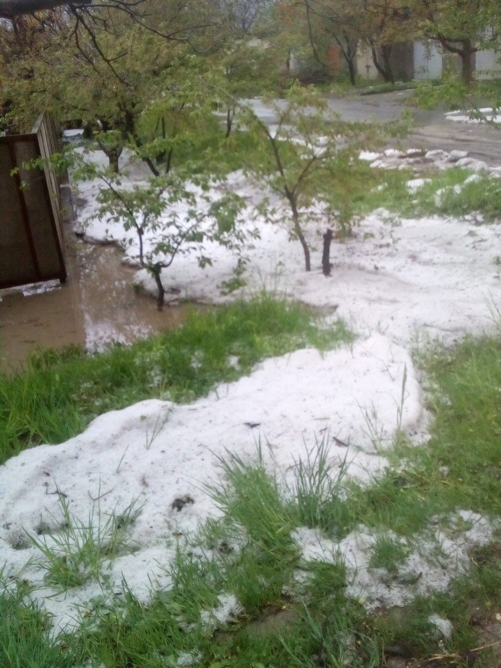 В каком году в мае выпал снег. Почему посреди весны выпал снег. Снег неожиданно выпал картинки. Выпадает снег в Чернобыле.