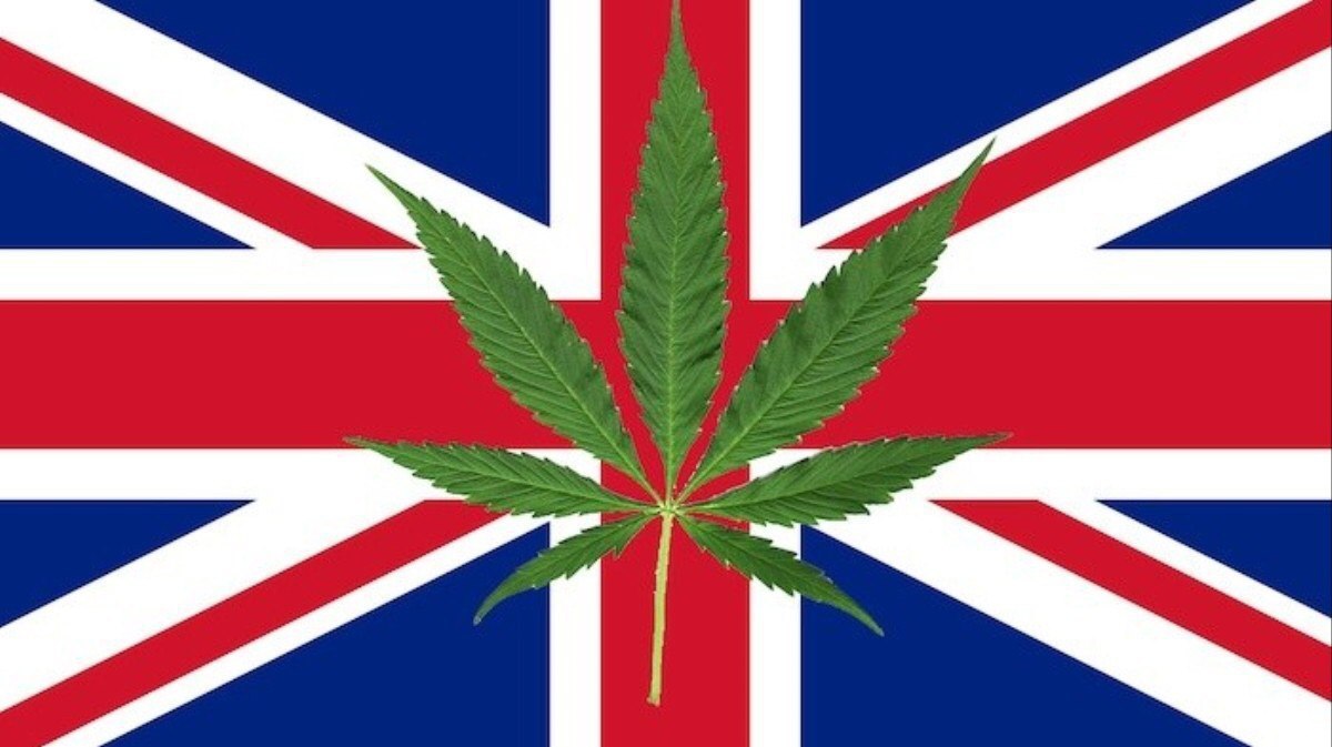 Марихуана великобритания обман тест на марихуану