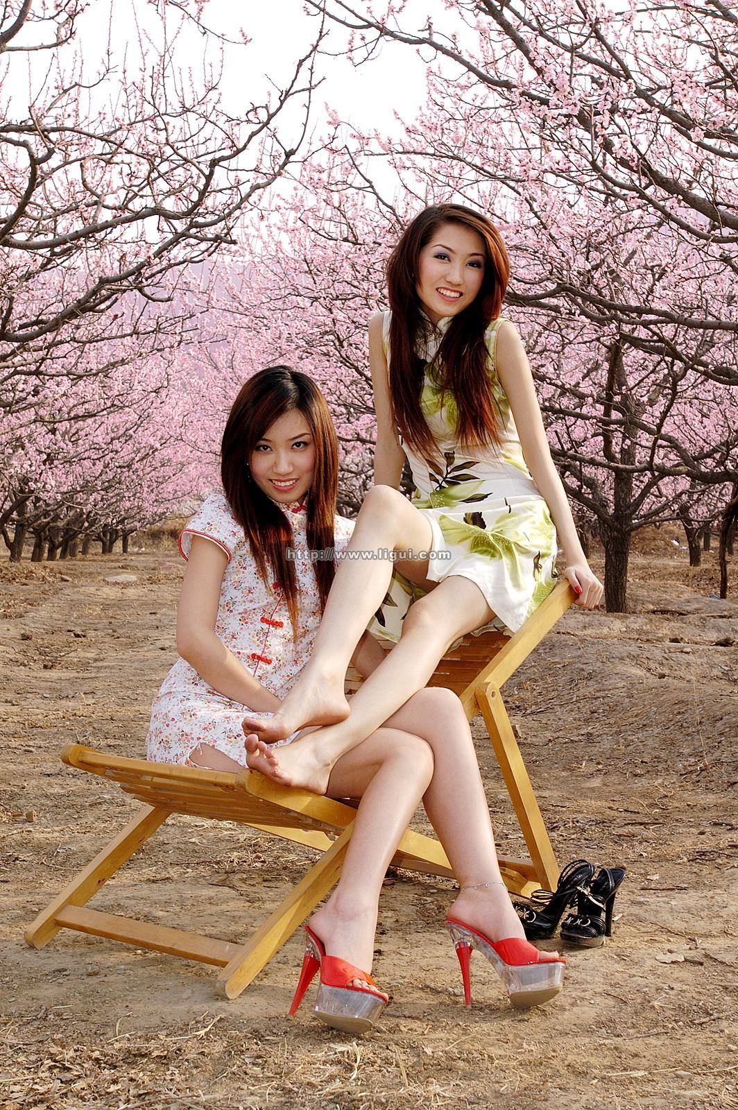 [Image: a840ef7462e33ea959cb1.jpg]