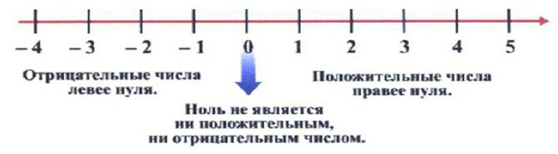 Координатная прямая 9