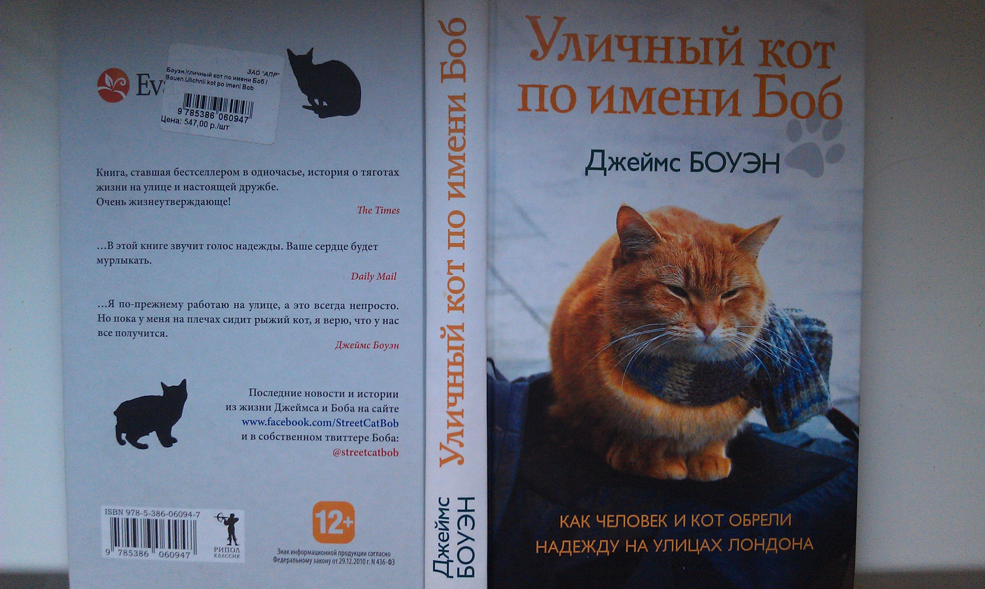 Кот боб книга. Джеймс Боуэн уличный кот по имени Боб. Уличный кот по имени Боб книга. Джеймс Боуэн уличный кот по имени Боб книга. Книга про рыжего кота Боба.