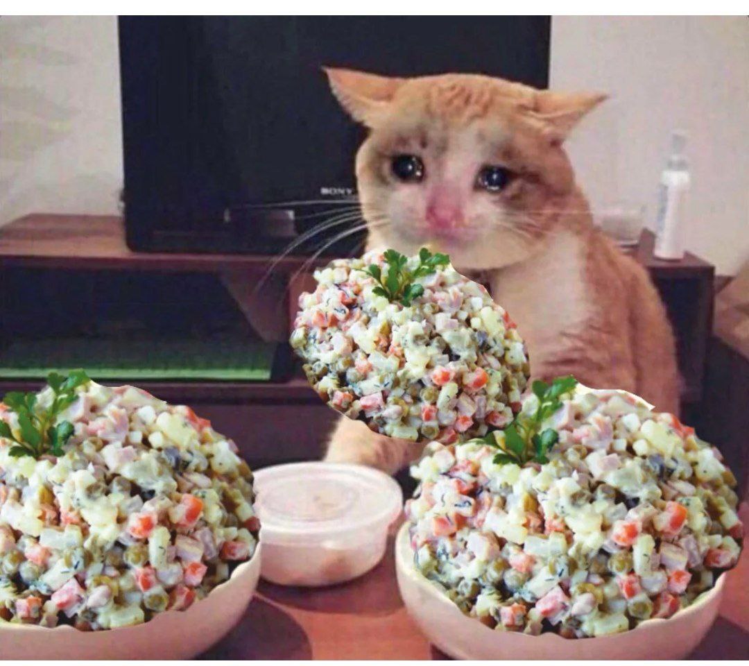 Кот с салатом