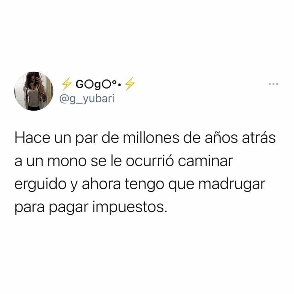 Cuando el mono empezó a caminar erguido