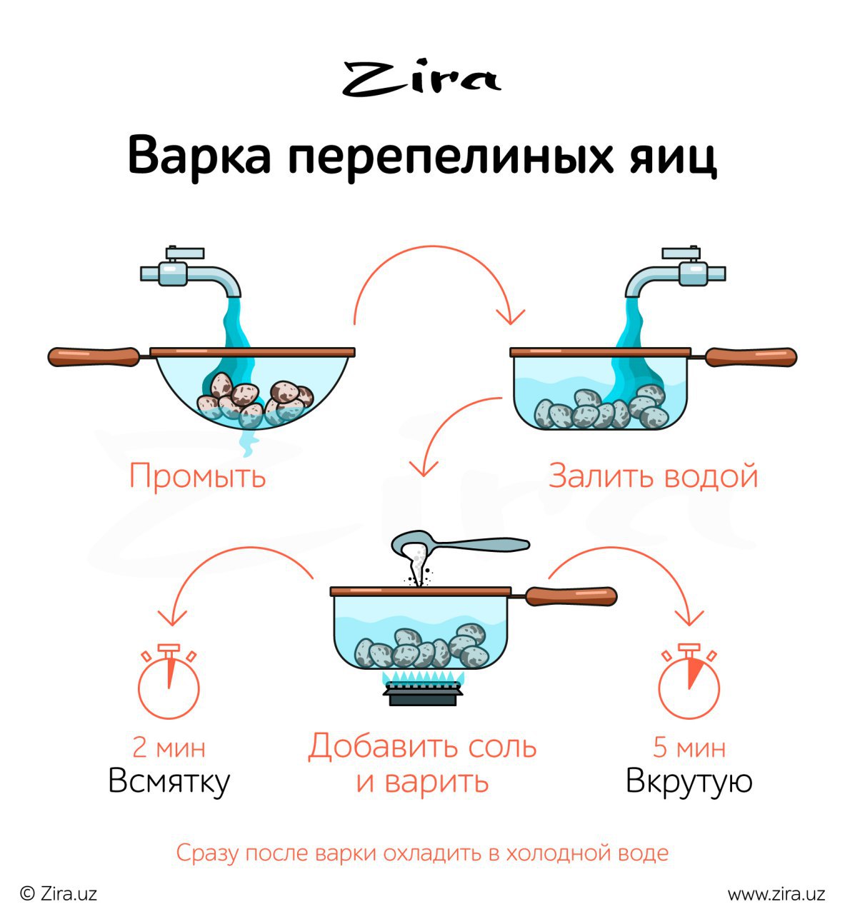 Схема обработки яиц