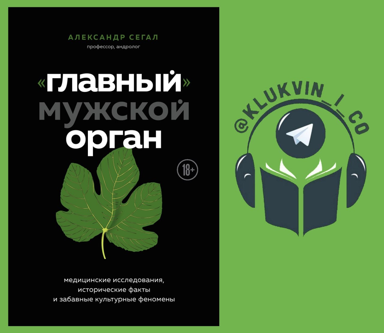 Аудиокнига клюквин. Книга главный мужской орган. Сегал Александр андролог. Рандомные научные факты. Сегал Александр – главный мужской орган.