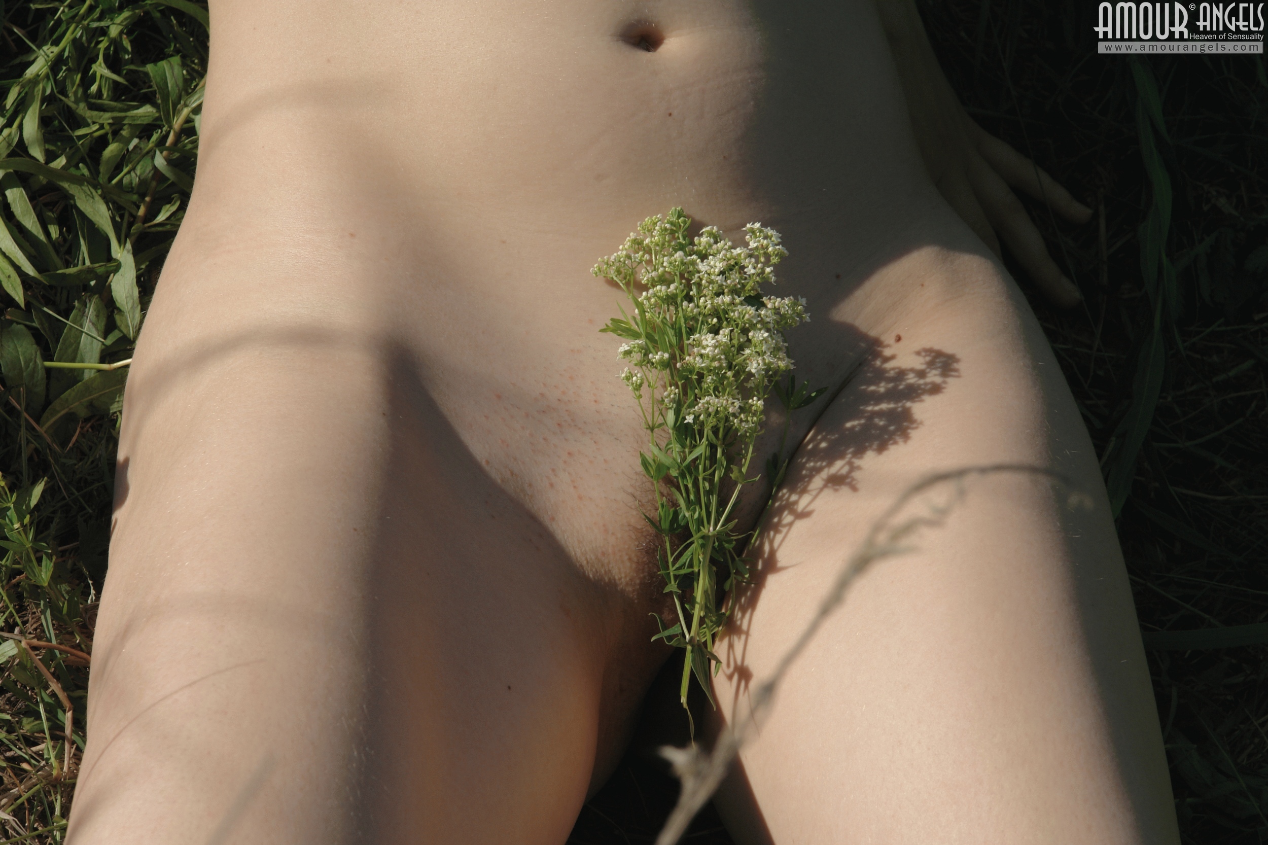 [Image: aabbf012cac7e9f909df6.jpg]