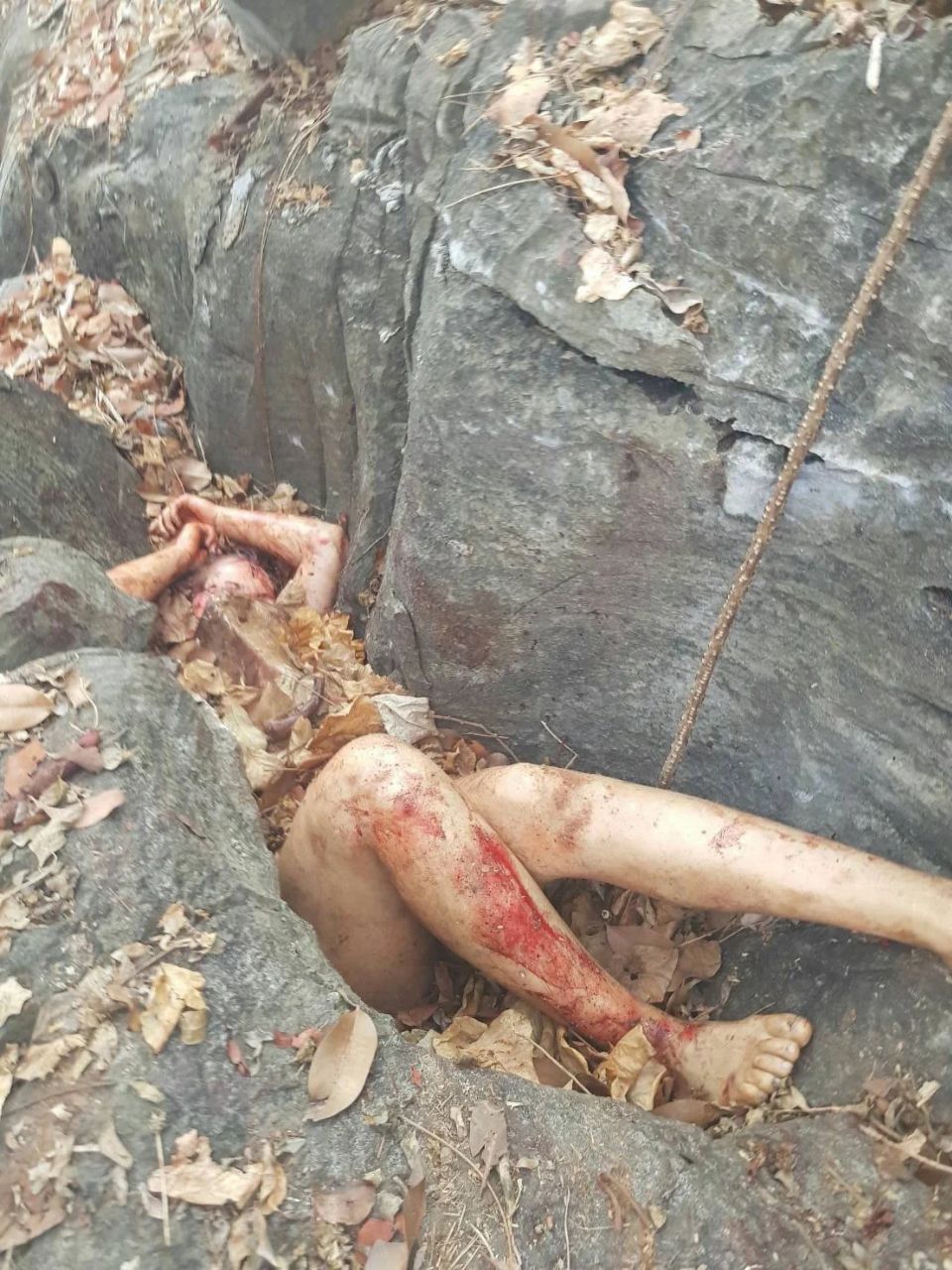 https://telegra.ph/file/aac0bb3cc272761ef6808.jpg