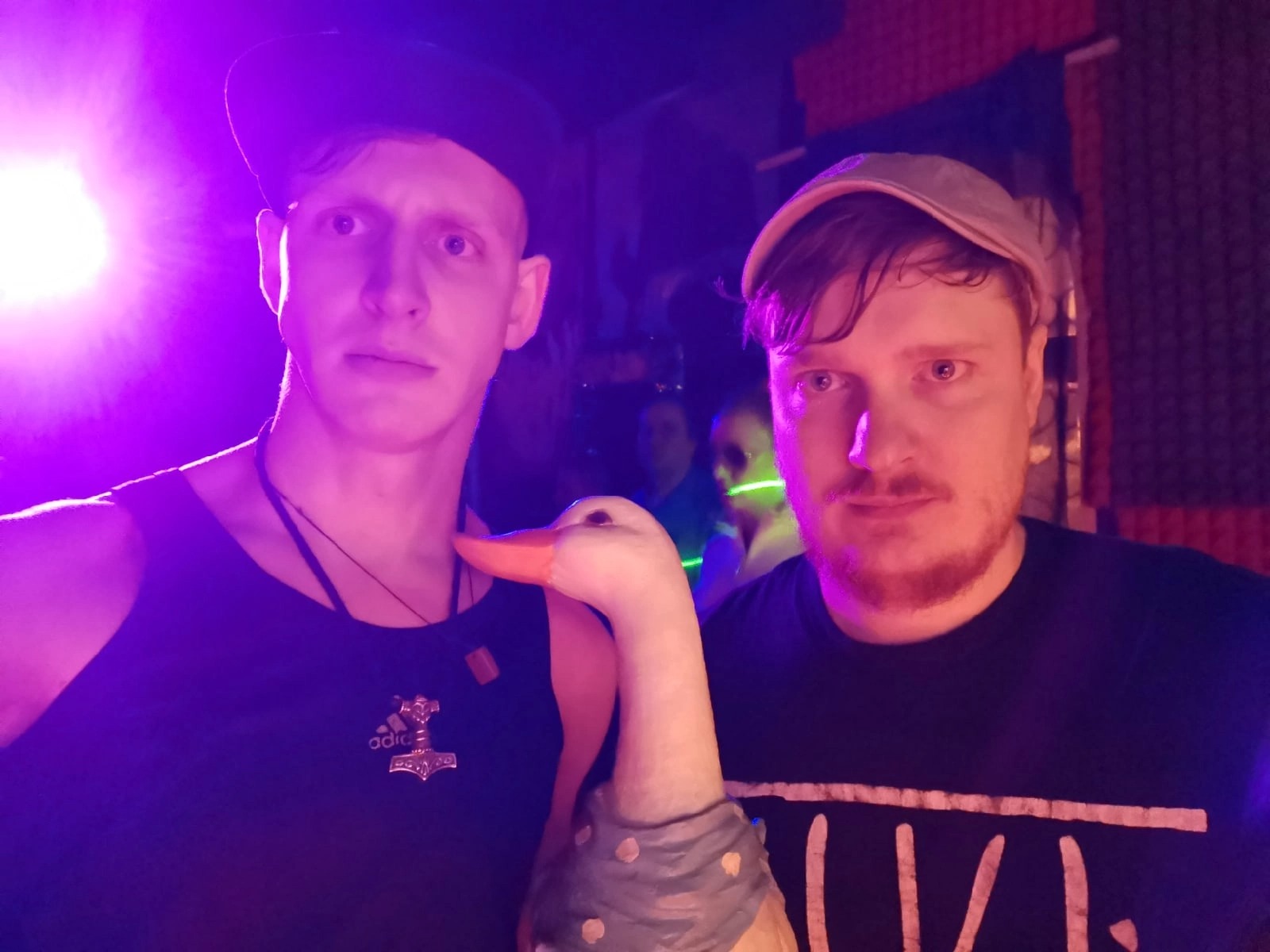 Откуда взялся гусь? – Telegraph