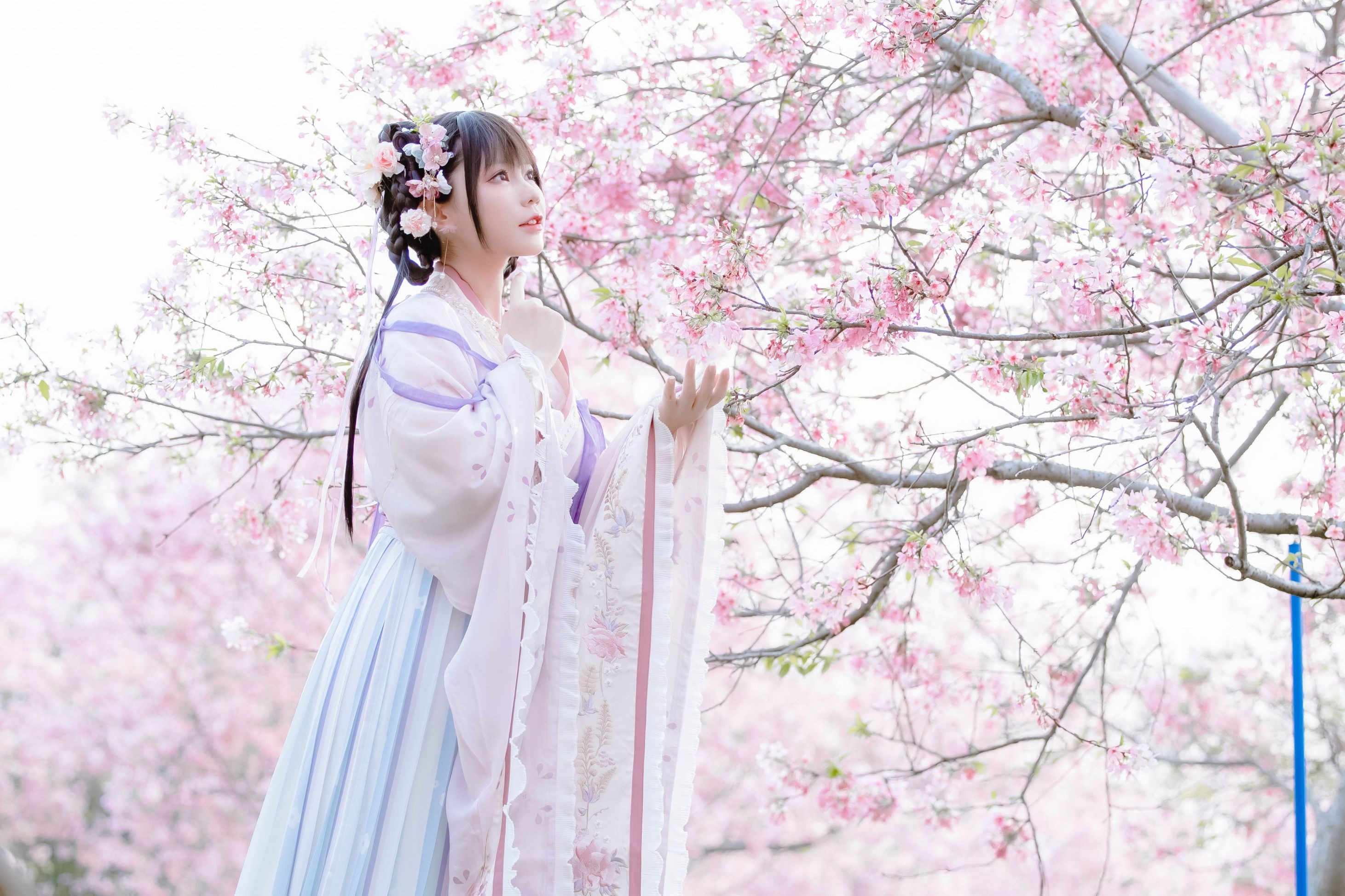 喵子Nyako - 樱花汉服 花神祈愿 [52P-219MB] 8